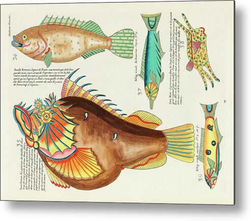 Fish Metal Print featuring the digital art Vintage, Whimsical Fish and Marine Life Illustration by Louis Renard - Ican Satan, Klip Visch by Louis Renard