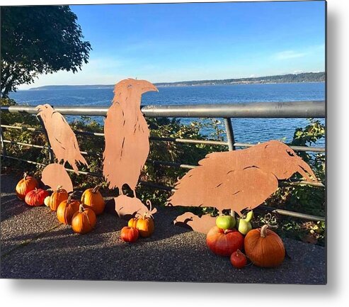 Pumpkins Metal Print featuring the photograph Whidbey Island Pumpkins by Kristina Deane