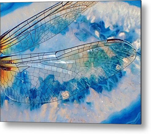  Metal Print featuring the photograph Wings Geode by Lorella Schoales