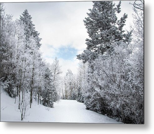 Winter Scenery Metal Print featuring the photograph Winter Wonder by Rebecca Herranen