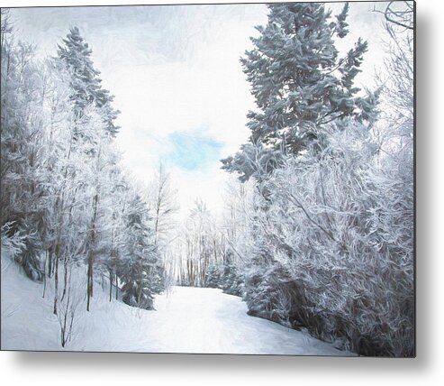Winter Wonderland Metal Print featuring the photograph Winter Wonderland by Rebecca Herranen