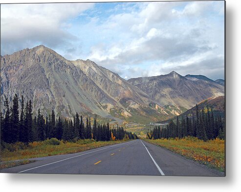 Alaska Metal Print featuring the photograph Along the Parks Highway by Dyle  Warren