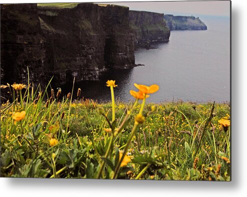 Ireland Metal Print featuring the photograph The Cliffs of Moher by Will Burlingham