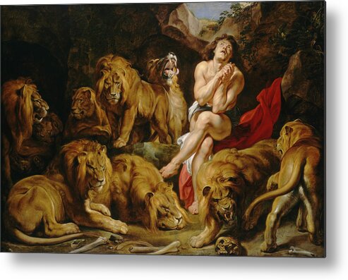 Peter Paul Rubens Metal Print featuring the painting Daniel in the Lions Den #9 by Peter Paul Rubens
