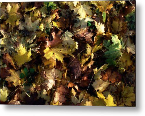 Autumn Metal Print featuring the digital art Fallen Leaves #1 by Ron Harpham