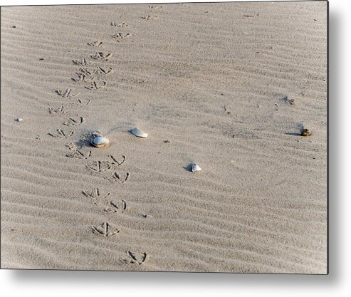 Sand Metal Print featuring the photograph Footprints #2 by Cathy Kovarik
