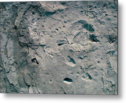 3.7 Million Years Old Metal Print featuring the photograph Hominid And Elephant Footprints #1 by John Reader/science Photo Library