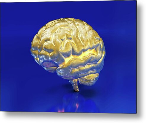 Artwork Metal Print featuring the photograph Intelligence #1 by Animated Healthcare Ltd/science Photo Library