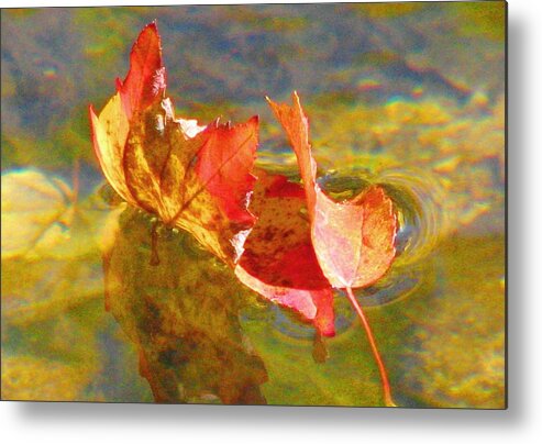 Leaves Metal Print featuring the photograph Last Dance by Angela Davies