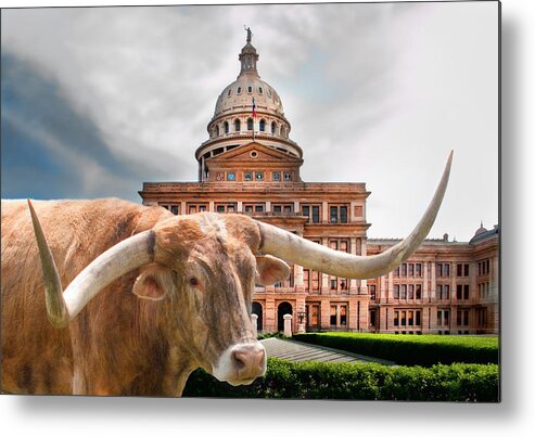 Animals Metal Print featuring the photograph Power #2 by David and Carol Kelly