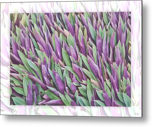 Floral Metal Print featuring the photograph Purple and Green by Holly Kempe