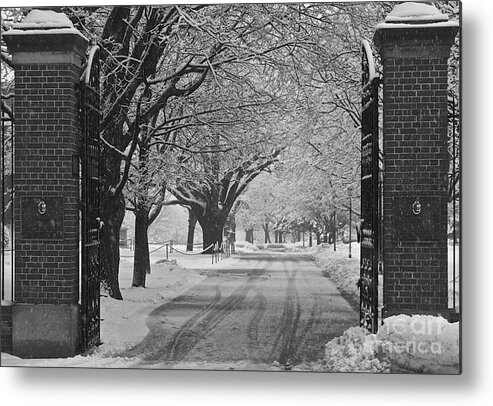 Winter Metal Print featuring the photograph Winters Path #1 by David Hubbs