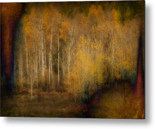 Trees Metal Print featuring the photograph Fall at Sheep Creek #10 by Loni Collins