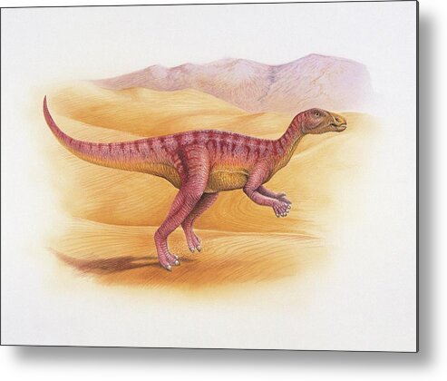 Colour Image Metal Print featuring the photograph Side Profile Of A Dinosaur #11 by Deagostini/uig/science Photo Library