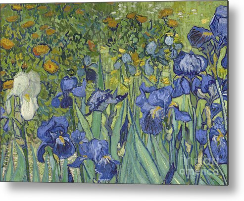 Irises Metal Print featuring the painting Irises, 1889 by Vincent Van Gogh by Vincent Van Gogh