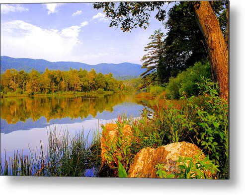 Cove Metal Print featuring the photograph Cove Lake State Park #2 by Frozen in Time Fine Art Photography
