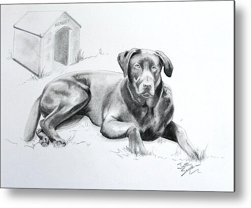 Professional Pet Portrait Artist Metal Print featuring the drawing Hershey by Joette Snyder