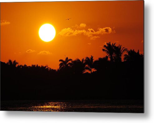 Marco Metal Print featuring the photograph Marco Island Sunset by David Hart