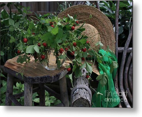  Wild Strawberries Metal Print featuring the photograph Wild Strawberries #1 by Luv Photography