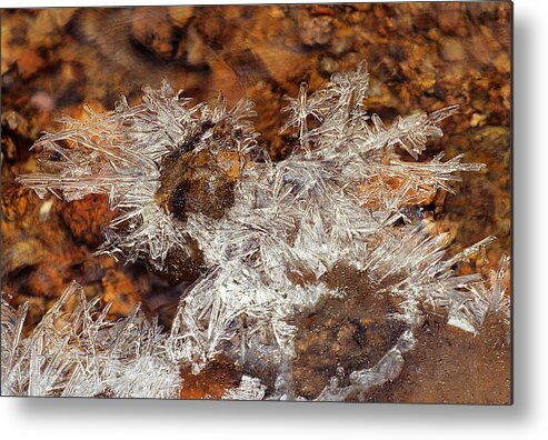 Ice Formations Metal Print featuring the photograph Frozen Beauty AKA Ice Is Nice VIII by Bijan Pirnia