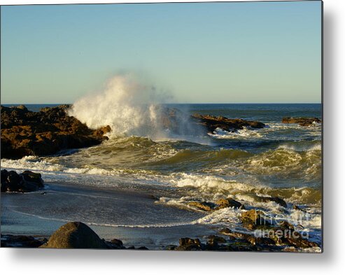 Oregon Coast Metal Print featuring the photograph Yachats Oregon #3 by Loni Collins