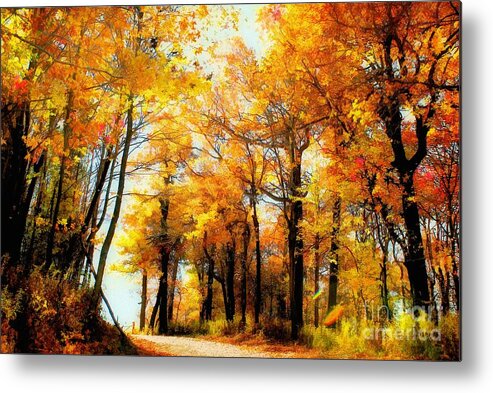 Autumn Leaves Metal Print featuring the photograph A Golden Day by Lois Bryan