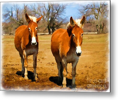 Nature Metal Print featuring the photograph A Pair of Mules Digital paint by Debbie Portwood