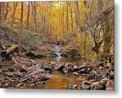 Potapsco State Park Metal Print featuring the photograph A Quiet Stream Off The Beaten Path by SCB Captures