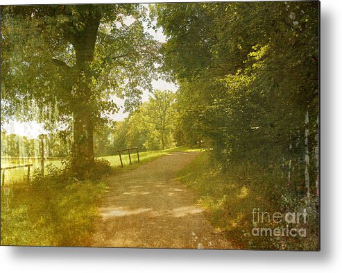 Photography Metal Print featuring the photograph A Walk in the Park by Ivy Ho