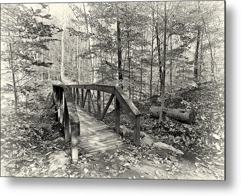 Architecture Metal Print featuring the photograph A Walk in the Woods by Marcia Colelli