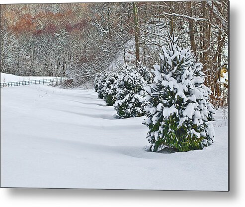 Snow Metal Print featuring the photograph A Winter's Day by Patricia Bolgosano