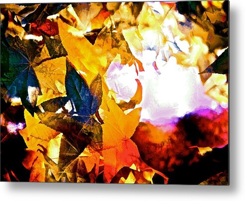 Abstract Metal Print featuring the photograph Abstract 111 by Pamela Cooper