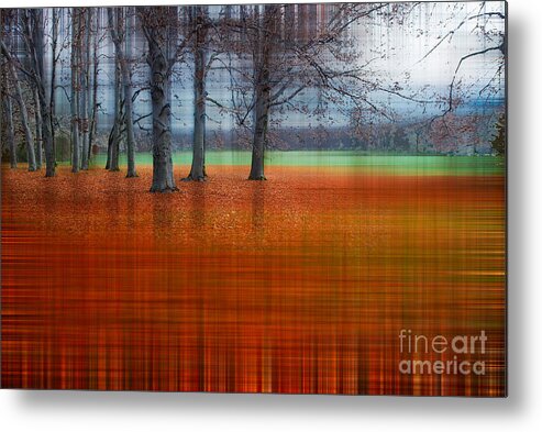 Abstract Metal Print featuring the photograph abstract atumn II by Hannes Cmarits