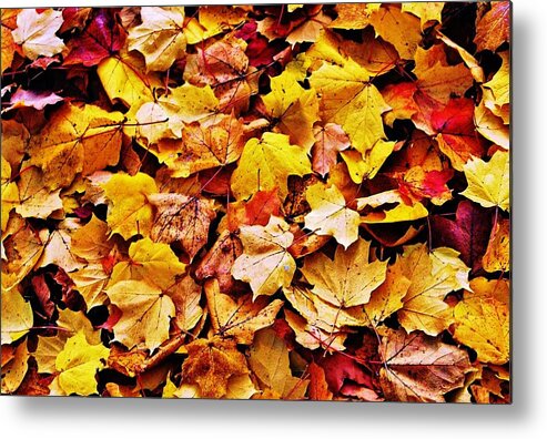 Abstract Metal Print featuring the photograph After The Fall by Daniel Thompson