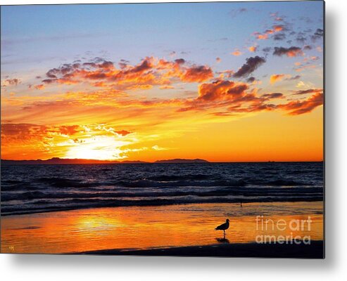 Newport Beach Metal Print featuring the photograph Afterglow by Everette McMahan jr