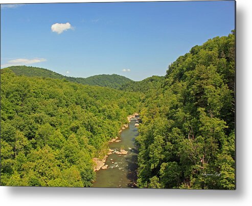 Roanoke Metal Print featuring the photograph Along the Blue Ridge Parkway - Roanoke River by Suzanne Gaff