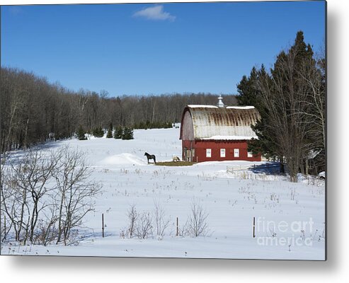 Americana Metal Print featuring the photograph an American Frozen Pasture by Dan Hefle