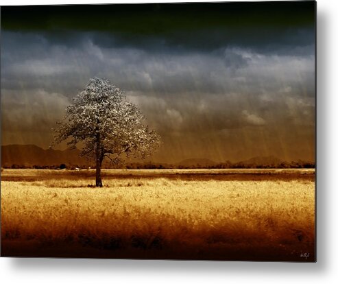 Landscapes Metal Print featuring the photograph And the rains came by Holly Kempe