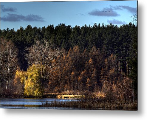 Fall Metal Print featuring the photograph As Seen in a Dream by Thomas Young
