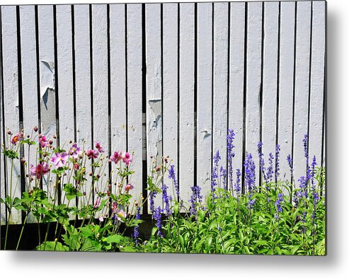 Farm Metal Print featuring the photograph At The Farm by Judy Salcedo