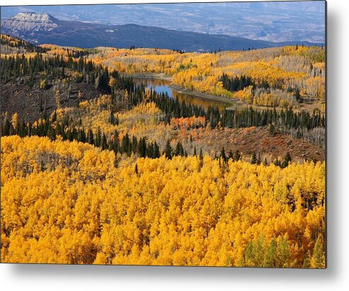 Grand Metal Print featuring the photograph Autumn at Grand Mesa Colorado by Jetson Nguyen