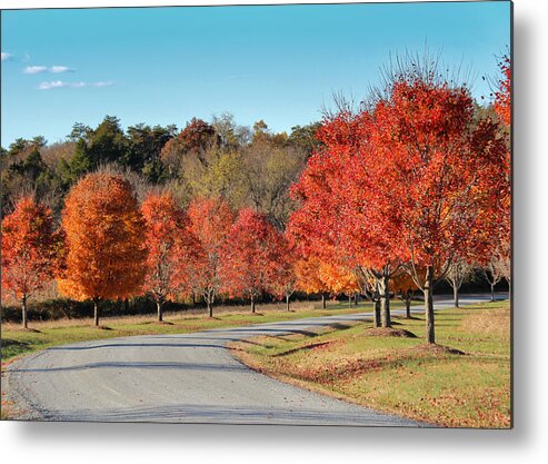 Autumn Road Metal Print featuring the photograph Autumn Road by Jemmy Archer