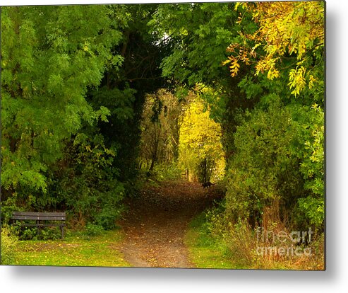Autumn Metal Print featuring the photograph Autumn Woodland walk by Martyn Arnold