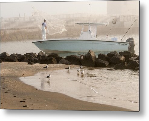 Net Metal Print featuring the photograph Bait Gathering by Don Durfee