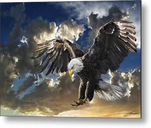 Bald Eagle Metal Print featuring the digital art BALD EAGLE Haliaeetus leucocephalus by Owen Bell