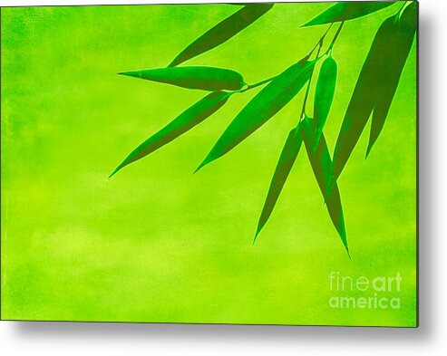Asia Metal Print featuring the photograph Bamboo Leaves by Hannes Cmarits