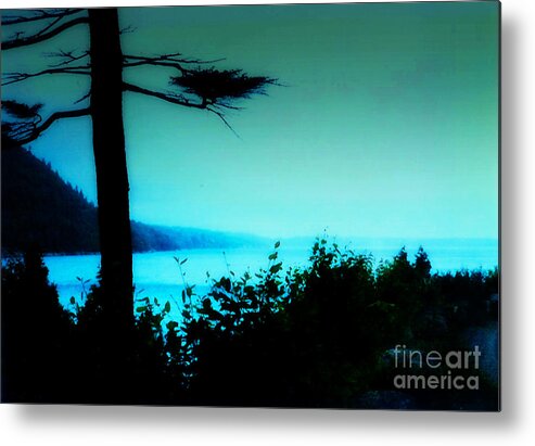 Bar Harbor Metal Print featuring the photograph Bar Harbor View by Desiree Paquette