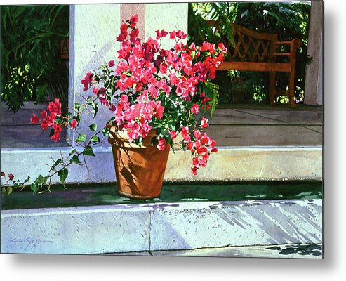 Bel-air Metal Print featuring the painting Bel-Air Bougainvillea Pot by David Lloyd Glover