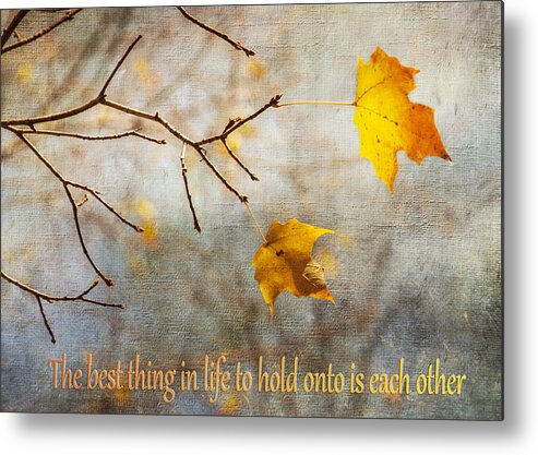 Greeting Card Metal Print featuring the photograph Best Thing by Cathy Kovarik