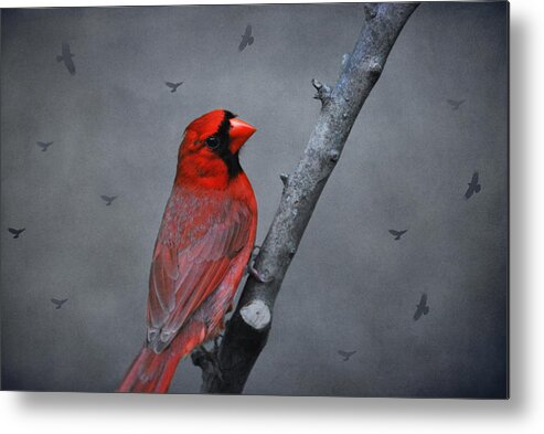 Red Bird Metal Print featuring the photograph Bird On A Limb by Linda Segerson